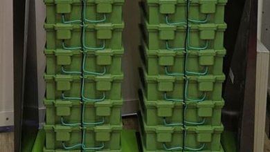South Korea marks major shift to sodium-ion batteries to regain market