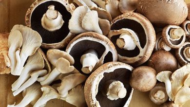 Pile of mushrooms on a board