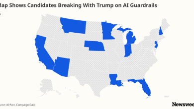 Map Shows Candidates Breaking With Trump on AI Guardrails