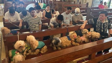 Wagging tails fill Malate Church as priests bless pets for St. Francis feast