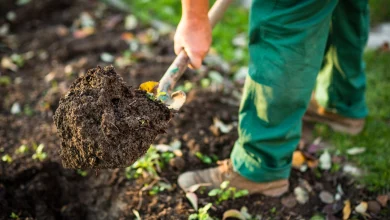 Photo: istockphoto.com