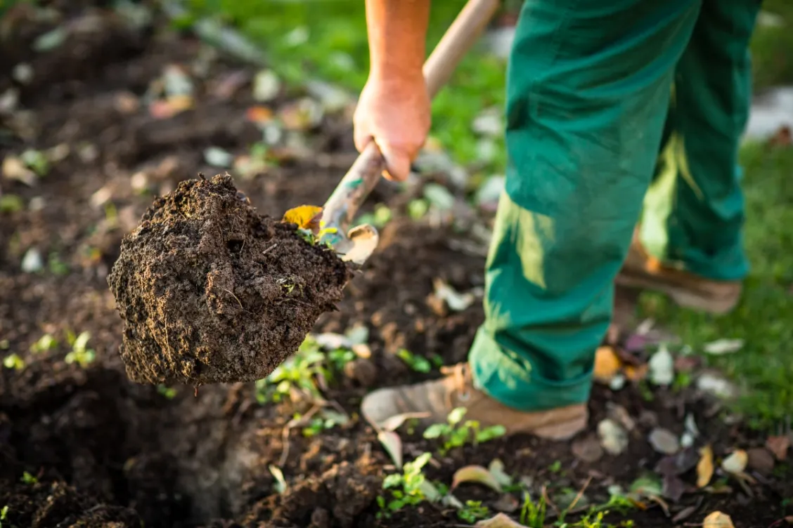 Photo: istockphoto.com