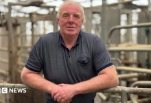 George McMaster dairy farmer. George has grey hair and is wearing a blue top.