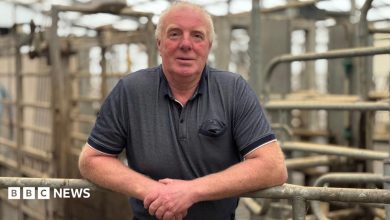 George McMaster dairy farmer. George has grey hair and is wearing a blue top.