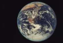 Image from the original article