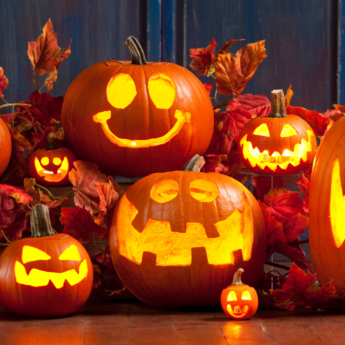 A group of Jack-o-lanterns lit up for the holiday.