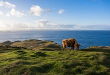 Scottish countryside with farms and livestock in a natural landscape