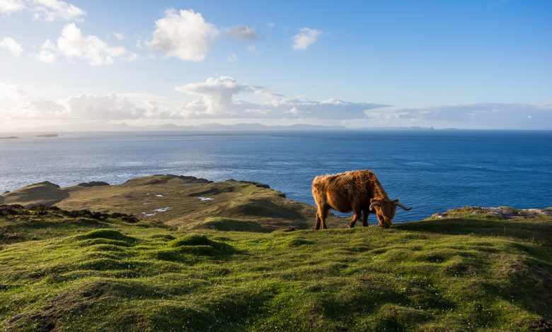Scottish countryside with farms and livestock in a natural landscape