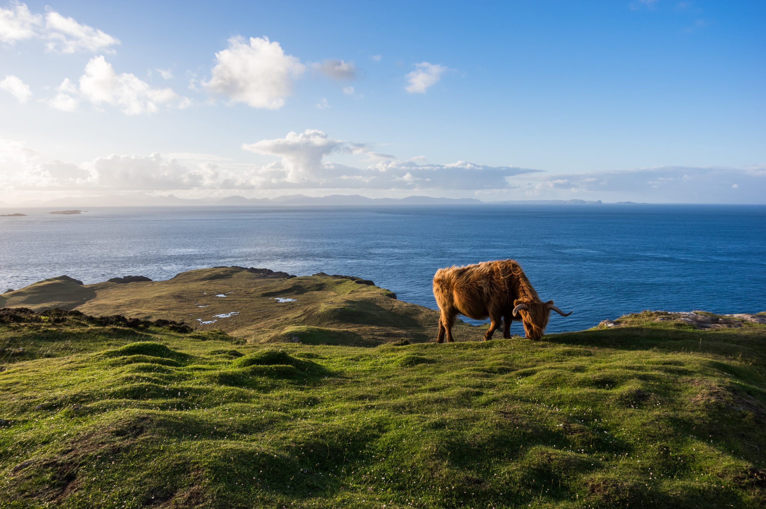 Scottish countryside with farms and livestock in a natural landscape