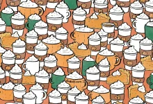 Image from the original article