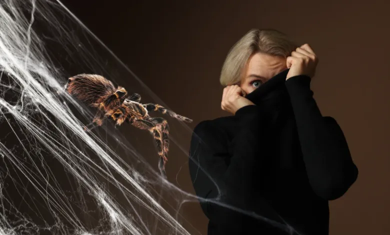 Image from the original article