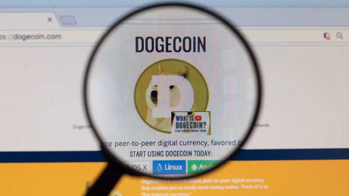 A magnifying glass looking at Dogecoin's logo. (Dogecoin)