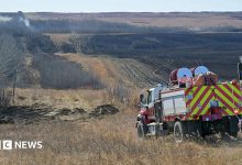 Two fire trucks shown driving towards a thicket of trees with smoke seen in the distance