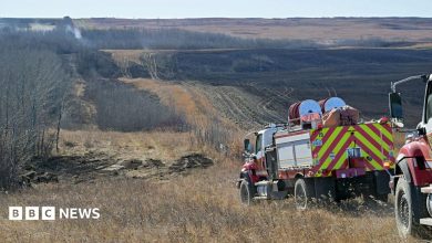 Two fire trucks shown driving towards a thicket of trees with smoke seen in the distance