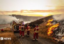 Firefighters stand behind a truck on a mountain, with fire and smoke visible.