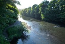 River Taff at Radyr.JPG
