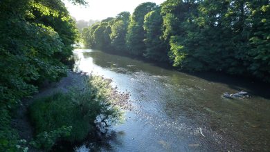 River Taff at Radyr.JPG