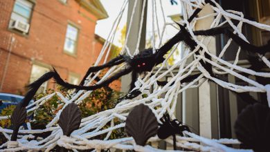 A fake spider web and spider outside a house