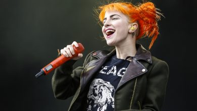 RiP2013 Paramore Hayley Williams 0003.jpg