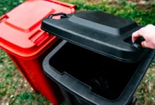 Photo: Natallia via Adobe Stock