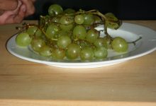 Fresh grapes for healthy diet.jpg