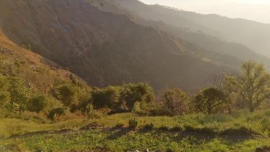 Himalayan Nepal.jpg