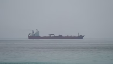 Image from the original article