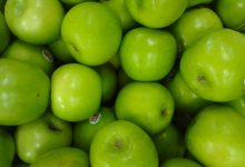 (The Granny Smith is a tip-bearing apple cultivar, which originated in Australia in 1868).JPG