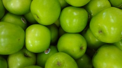 (The Granny Smith is a tip-bearing apple cultivar, which originated in Australia in 1868).JPG