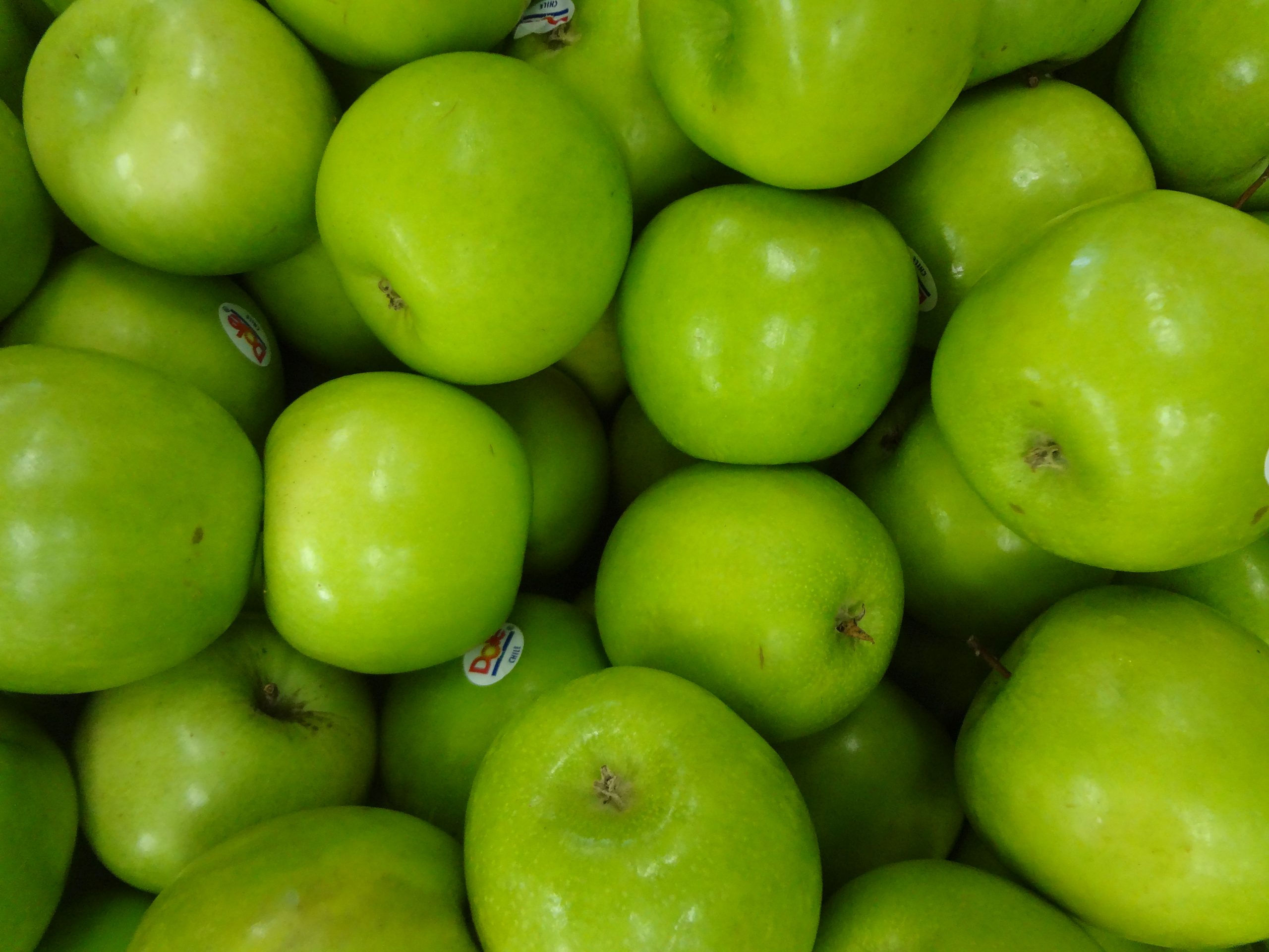 (The Granny Smith is a tip-bearing apple cultivar, which originated in Australia in 1868).JPG