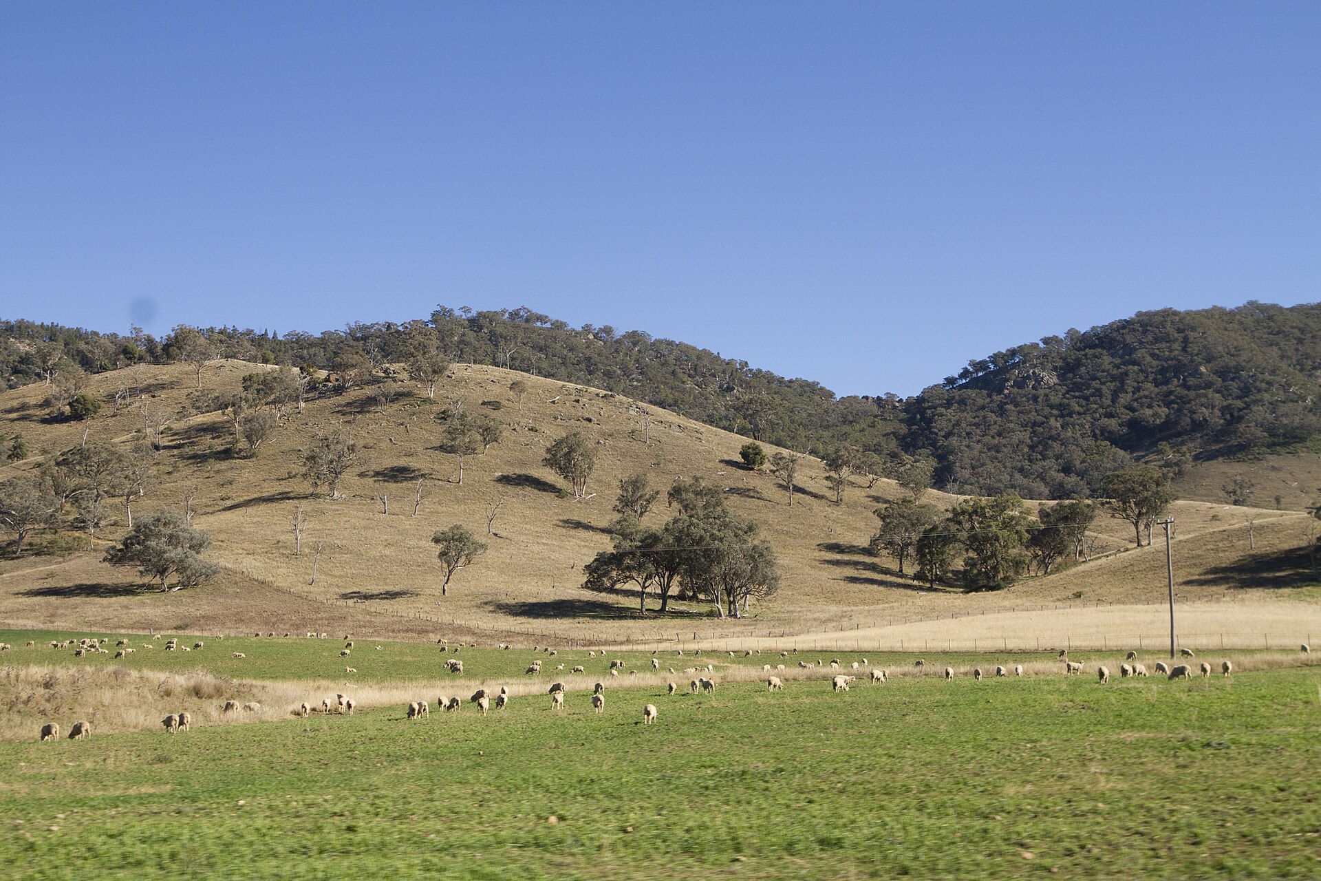 Apple Tree Flat NSW 2850, Australia - panoramio.jpg