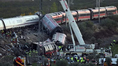 Image from the original article