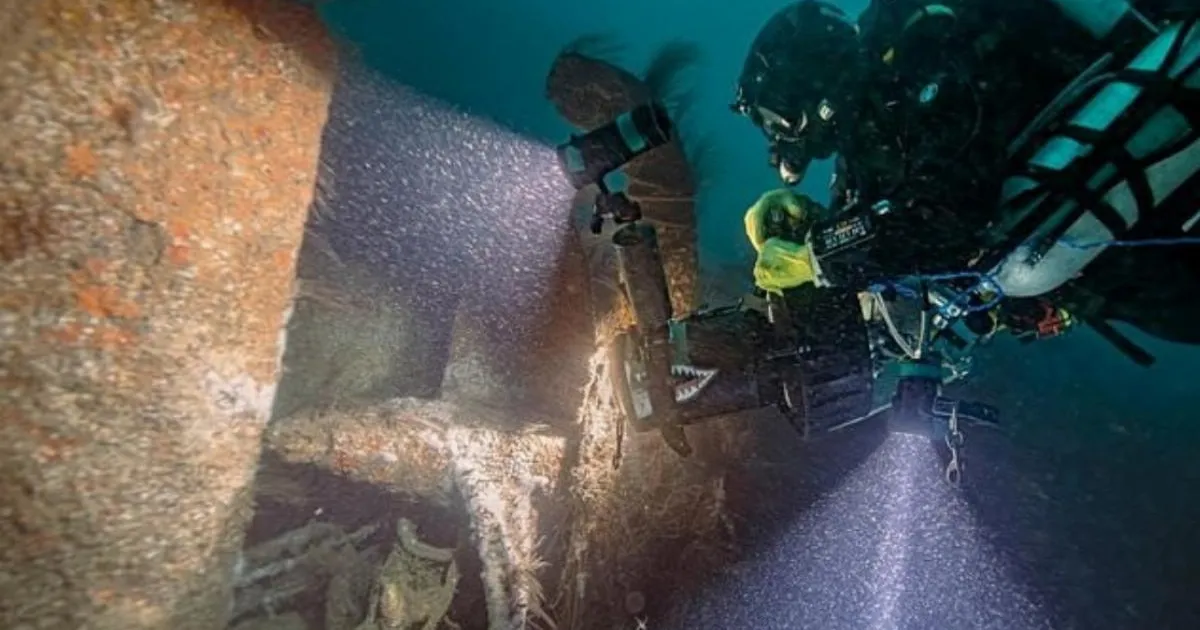 Image from the original article