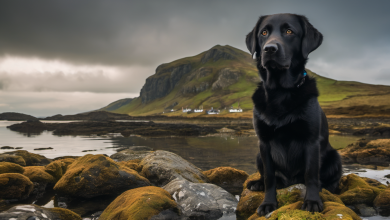 AI-generated image: A black Labrador dog is the main subject.